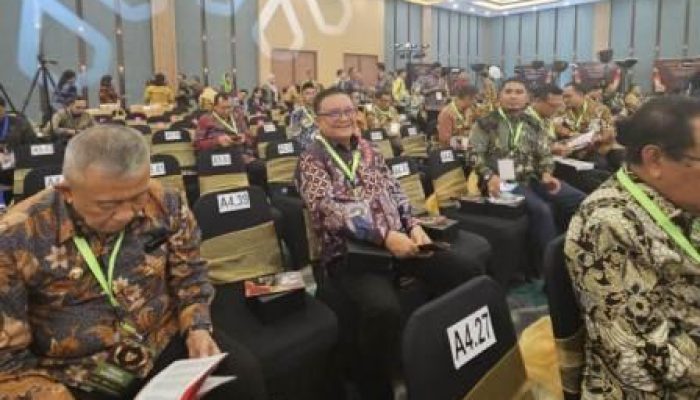 Wapres Ma’ruf Amin Berikan Penghargaan UHC Kepada 460 Kabupaten/Kota di Indonesia