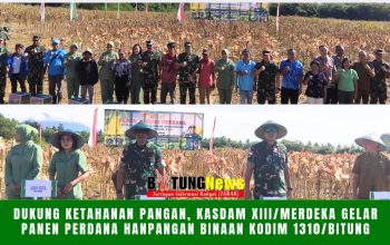 Dukung Ketahanan Pangan, Kasdam XIII/Merdeka Gelar Panen Perdana Hanpangan Binaan Kodim 1310/Bitung