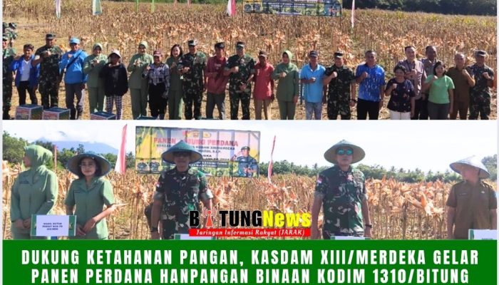 Dukung Ketahanan Pangan, Kasdam XIII/Merdeka Gelar Panen Perdana Hanpangan Binaan Kodim 1310/Bitung