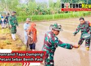 Danramil Tapa Dampingi Petani Sebar Benih Padi