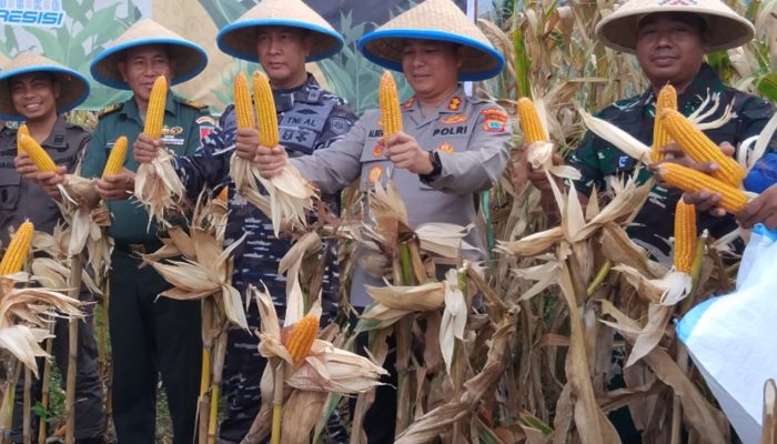 Kapolres Bitung: Panen Jagung Bukan Seremoni, Tapi Wujud Kedaulatan Pangan