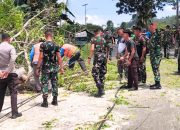 Koramil Kwandang, Brigif 22/OM, dan Polsek Anggrek Bersinergi Evakuasi Pohon Tumbang