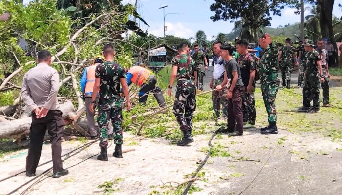 Koramil Kwandang, Brigif 22/OM, dan Polsek Anggrek Bersinergi Evakuasi Pohon Tumbang