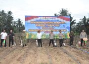 Kasrem 133/NW Hadiri Penanaman Jagung Serentak Kuartal I 2026