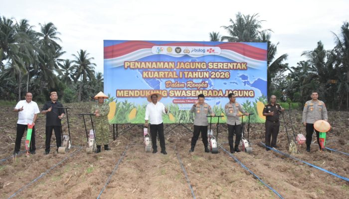 Kasrem 133/NW Hadiri Penanaman Jagung Serentak Kuartal I 2026